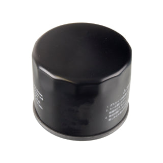 Blue Print Oil Filter - ADBP210021 (WCO257NM / Z1080)