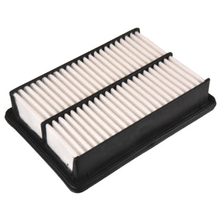 Blue Print Air Filter - ADBP220029 (WA5538 / A2034)