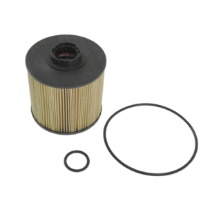 Blue Print Fuel Filter  - ADC42360 (WCF124 / R2696P)