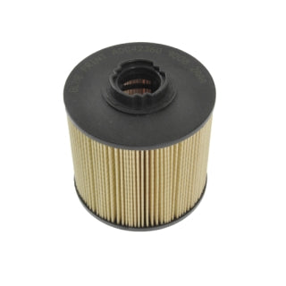 Blue Print Fuel Filter  - ADC42360 (WCF124 / R2696P)