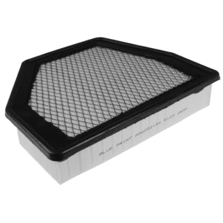 Blue Print Air Filter - ADG022124 (WA5244 / A1796)