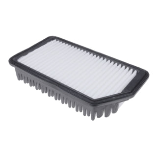 Blue Print Air Filter - ADG022135 (WA5299 / A1793)