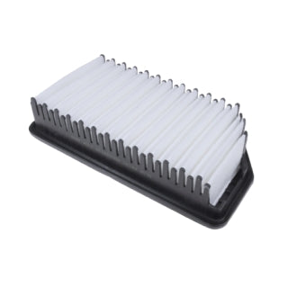 Blue Print Air Filter - ADG022135 (WA5299 / A1793)