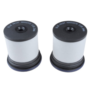 Blue Print Fuel Filter Set - ADG02370 (WCF195 / R2745P)