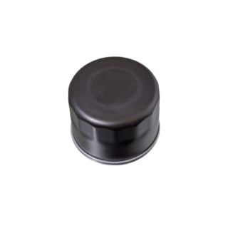 Blue Print Oil Filter - ADK82108 (WCO209NM / Z1082)