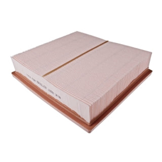 Blue Print Air Filter - ADT322119 (WA5211 / A1838)