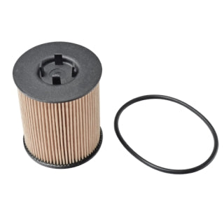 Blue Print Oil Filter - ADW192113 (WR2591P / R2591P)