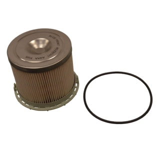 Blue Print Fuel Filter  - ADZ92317 (WCF108 / R2656P)