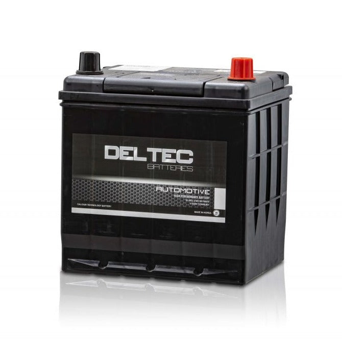Deltec Automotive Battery - DEL-D20L