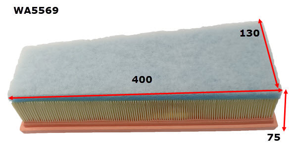 Wesfil Air Filter - WA5569 (A2106)