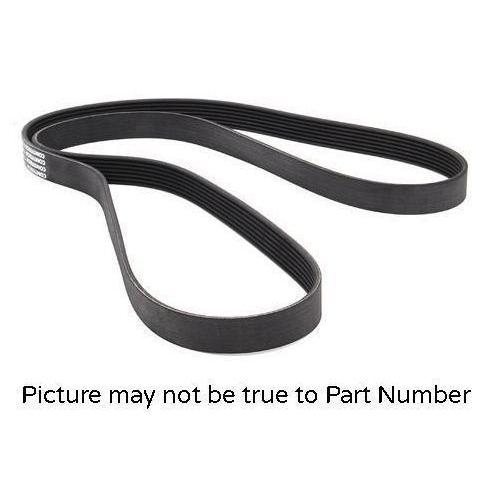 Multi-Ribbed Belt / Fan Belt - 7PK1660