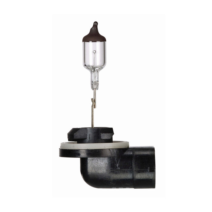Narva 12V 37.5W PGJ13 Halogen Globe (Blister Pack)
 - 48052BL