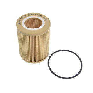 Blue Print Ford/Volvo/Rover Oil Filter - ADF122103-ADF122103-Blue Print-A1 Autoparts Niddrie