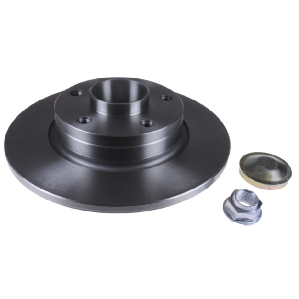 Disc Brake Rotor (Rear) - Renault Trafic 2005 - 2015