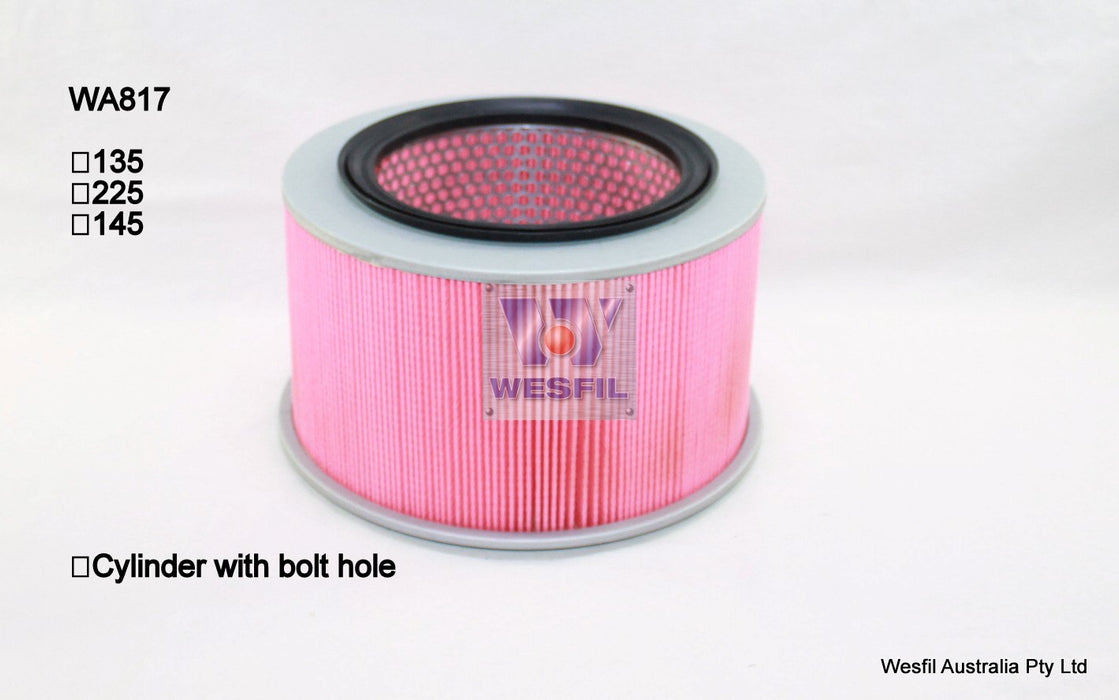 Wesfil Air Filter - WA817 (A1441)
