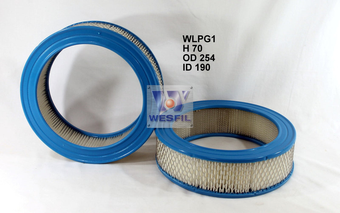 Wesfil Air Filter - WLPG1 (A31)