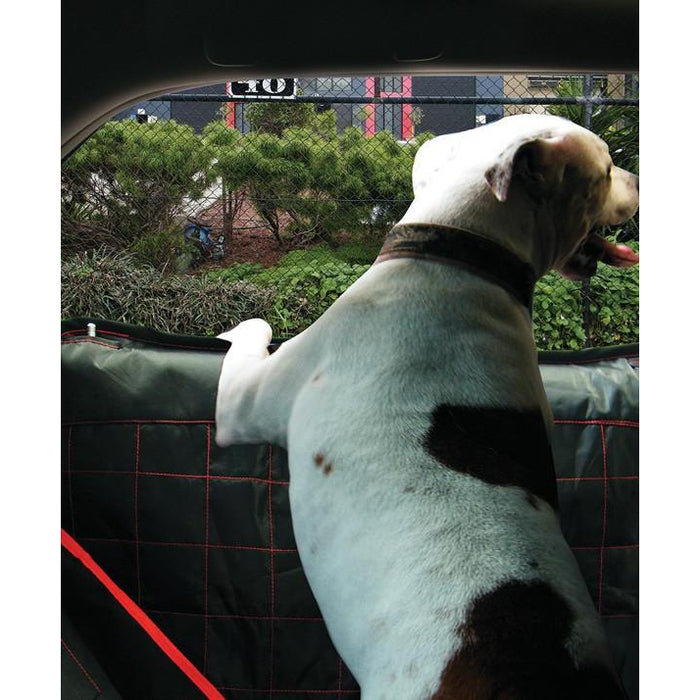 Pet Door Protectors - Chico - A1 Autoparts Niddrie
 - 2