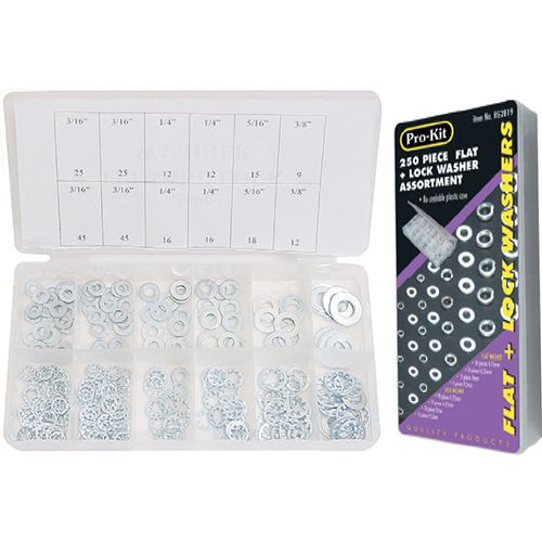 250 Piece Flat & Lock Washer Assortment - RG2819